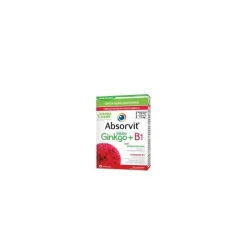 Absorvit Ginkgo Biloba+B1 60 Cp