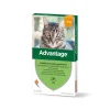 Advantage 40 Pipetas para Gato até 4Kg 4x0,4ml