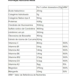 Arkoflex Colagénio Total Pó 390g