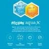 Attipas Summer Whale Blue Sapato Bebé AQUA-X Barefoot T19 | Secagem rápida ideais para praia e verão
