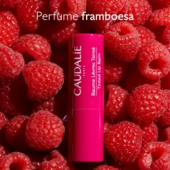 Caudalie Vinotherapist Bálsamo de Lábios com Cor 4,5g | Nutrição e Cor Natural