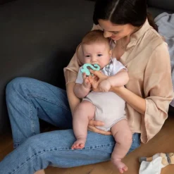 Chicco Anel Dentição Iguana Rosa +2M