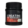 Drasanvi Creatina Monohidra Creapure Neutro 300g | Pureza Máxima ≥99,5% | Ideal para desportistas de alta intensidade
