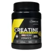 Drasanvi Creatina Monohidra 200 MESH Limão 500g | Suplemento para Performance Desportiva