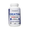 Drasanvi Creatina Monohidrato 100% Pura Neutro 270 Cápsulas | Desempenho físico, força e recuperação muscular