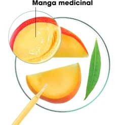Klorane Manga Creme Nutritivo Sem Enxaguar 100ml | Cabelo Seco