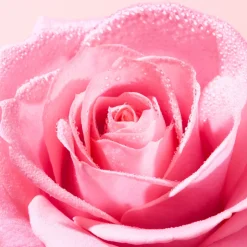 Nuxe Very Rose Água Micelar Desmaquilhante Calmante 400ml