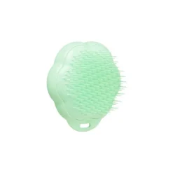 Pet Teezer Gato Escova Verde