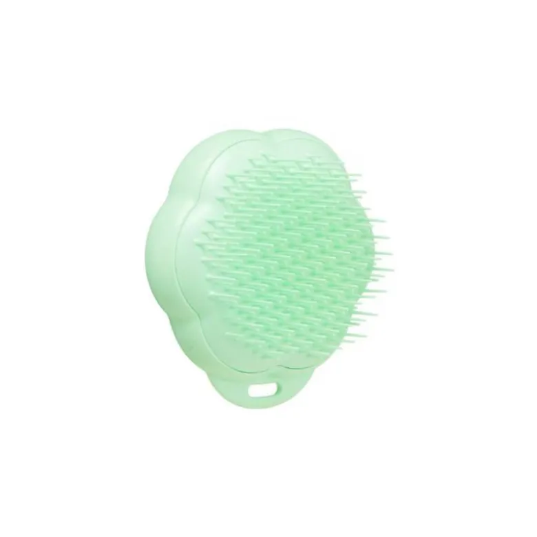 Pet Teezer Gato Escova Verde