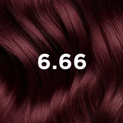 Phyto Kit Coloração Permamente 6.66 Castanho Claro Cereja Intenso | Tinta para Cabelo Sem Amoníaco