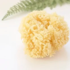Saro Esponja Natural