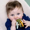 Trixie Anel de Atividades Mordedor Mr. Dino +0 Meses | Madeira e Silicone