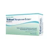 Vidisan Alergia Ectoin Colirio 0,5mLx20