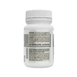 Vitafor Echinacea 90 Comprimidos | Suporte Imunológico Tradicional